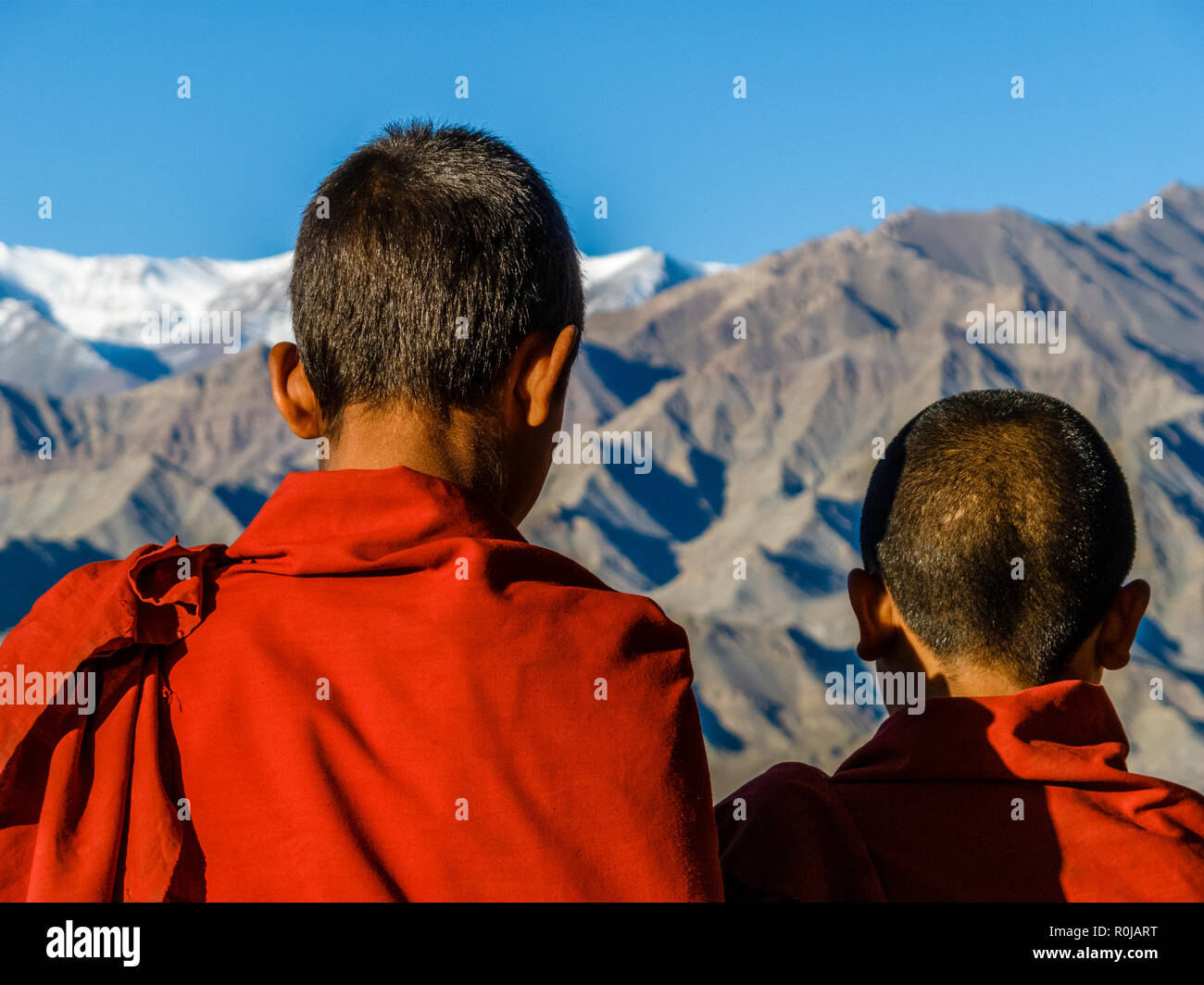 Deux jeunes moines à la recherche de l'autre côté de la rivière depuis le toit de l'Indus de Tikse Gompa Banque D'Images