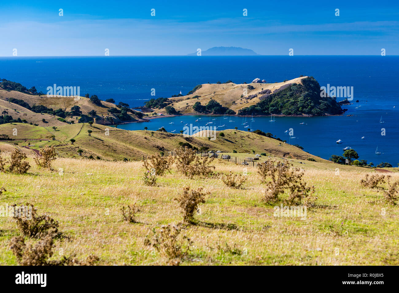 Vue sur le golfe d'Hauraki, Waiheke Island, New Zealand Banque D'Images