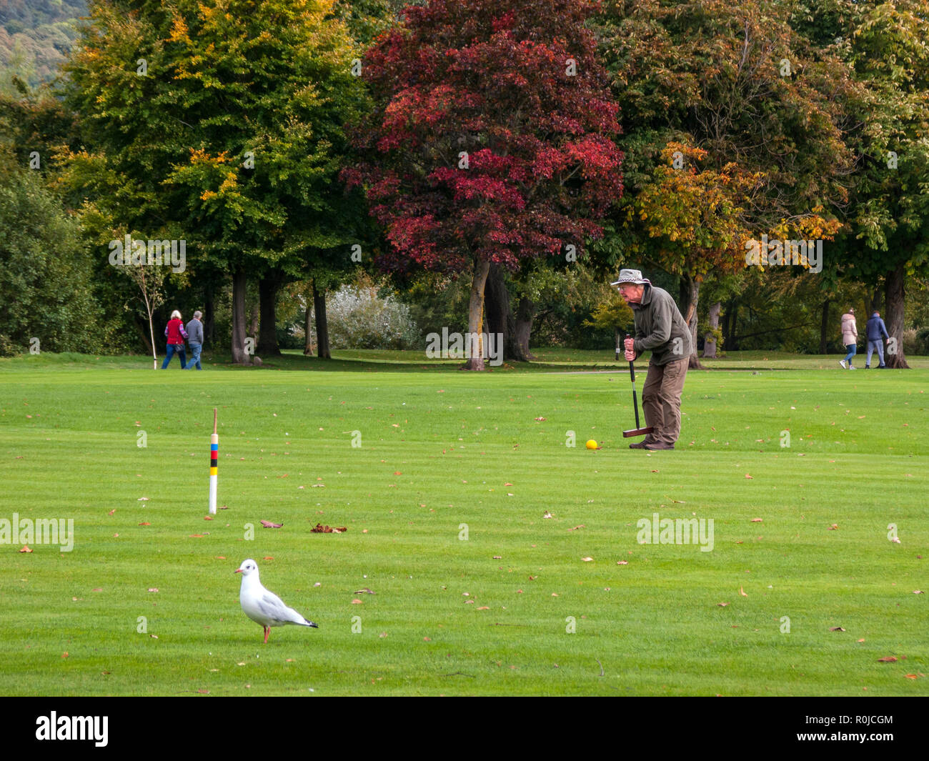 Jouer au croquet, Bakewell Recreation Ground, Bakewell, Derbyshire Banque D'Images