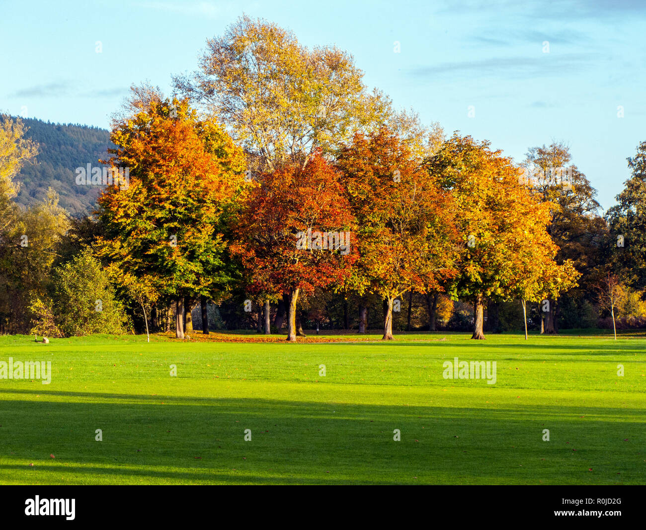 Terrain de jeux, Bakewell, Derbyshire, automne Banque D'Images