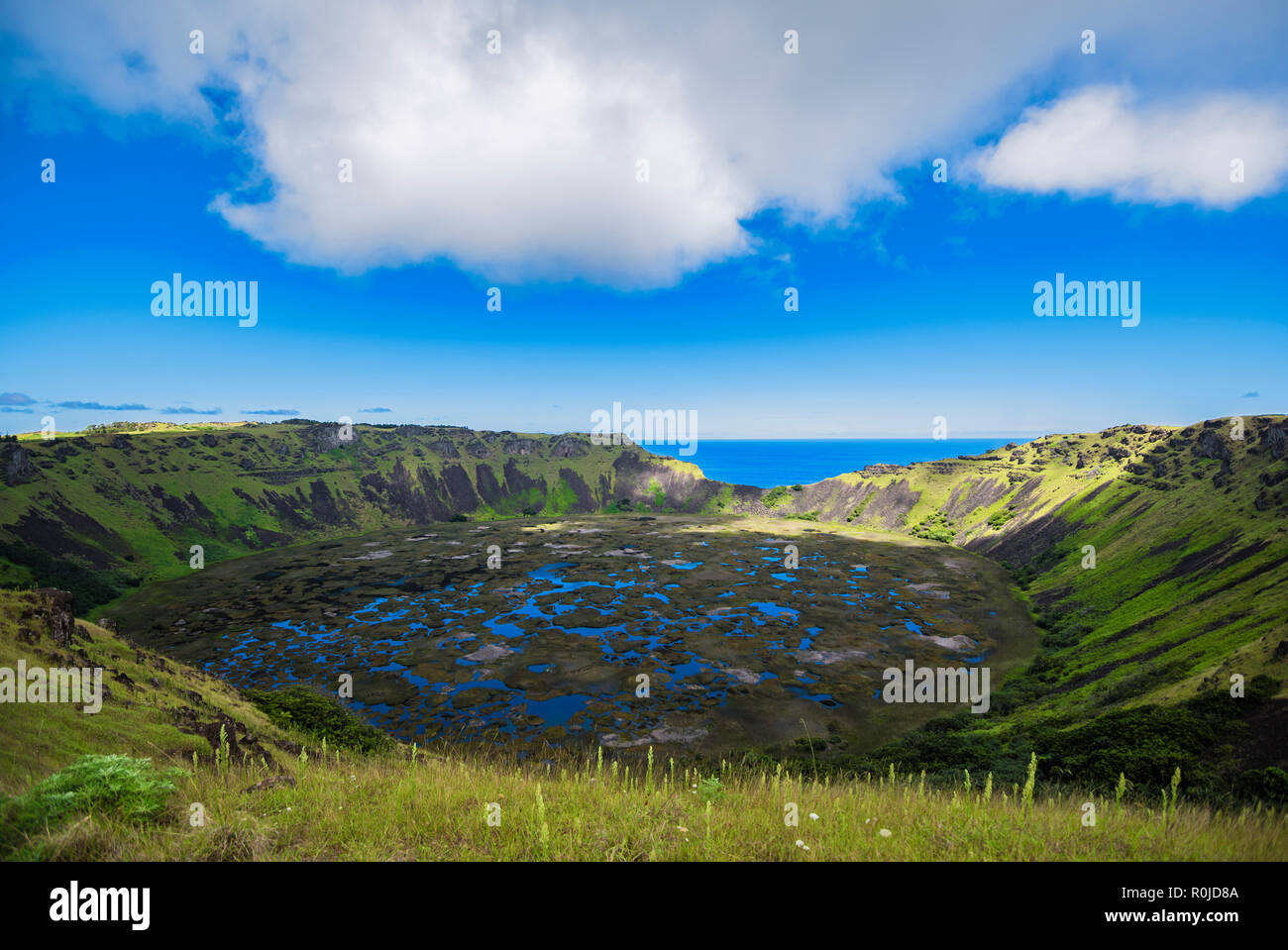 L'intérieur du cratère du volcan Rano Kau Banque D'Images