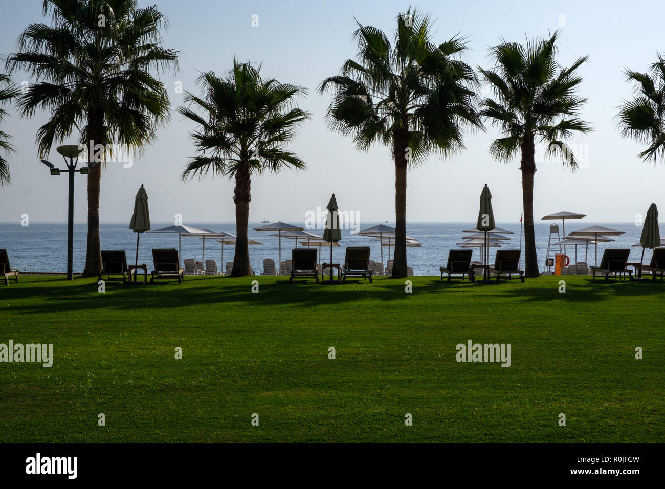 Pelouse avec chaises longues et parasols de plage au Club Med Palmiye luxury all inclusive resort, Kemer, Antalya, Turquie Banque D'Images