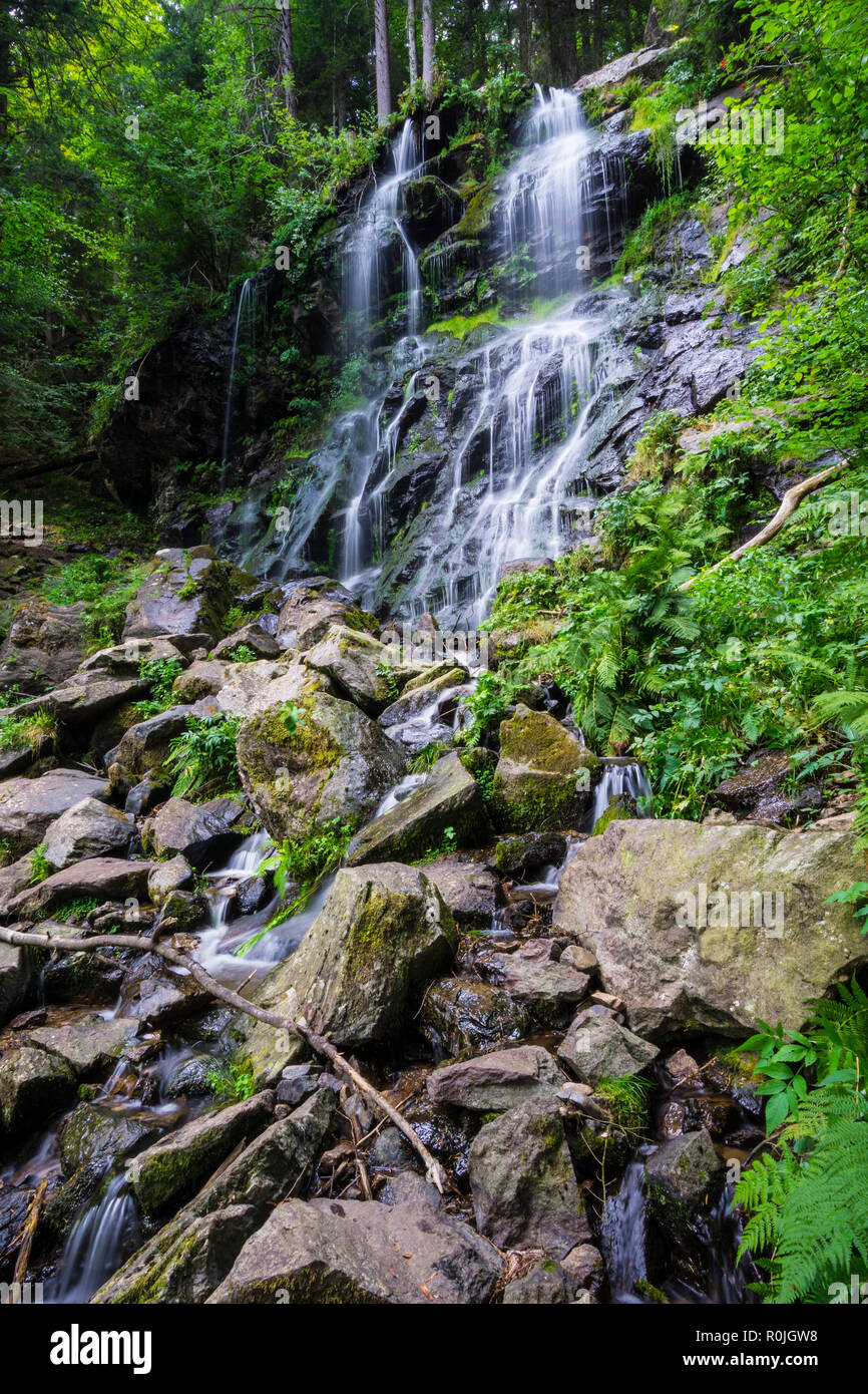 Allemagne, forêt noire destination de Zweribach cascade dans les forêts protégées nature paysage Banque D'Images