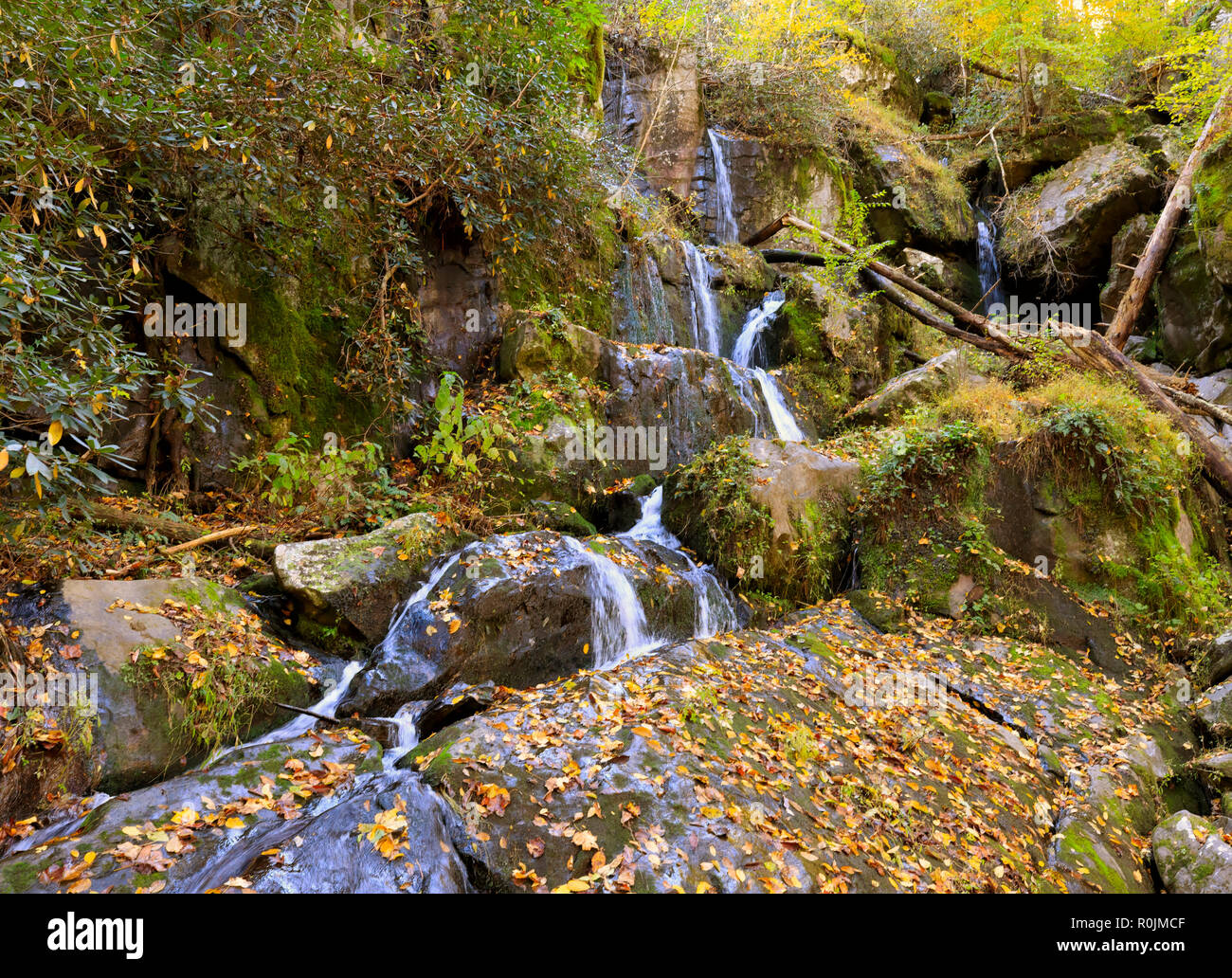 Moteur de Roaring Fork Sentier Nature, Smoky Mountains National Park Banque D'Images