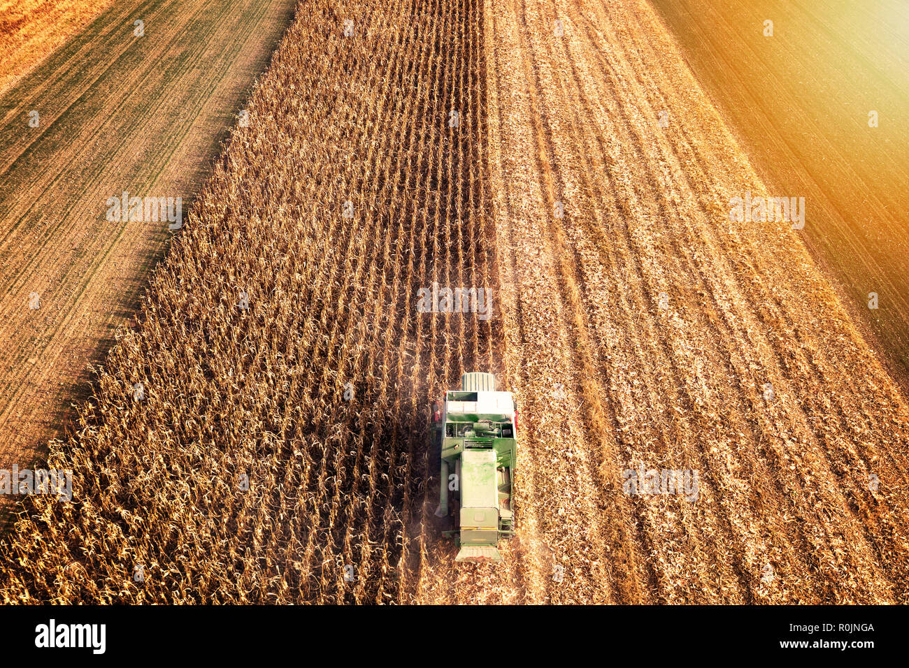 La récolte du maïs en automne skyline Aerial shot Banque D'Images