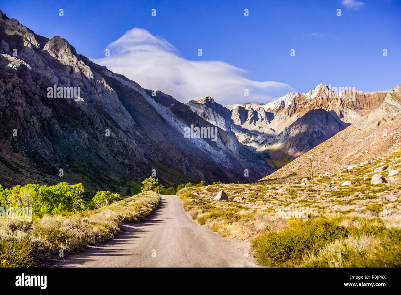 Matin sur les crêtes rocheuses et les sommets des montagnes de la Sierra de l'est pris de la route non asphaltée à McGee Creek trail head, en Californie Banque D'Images