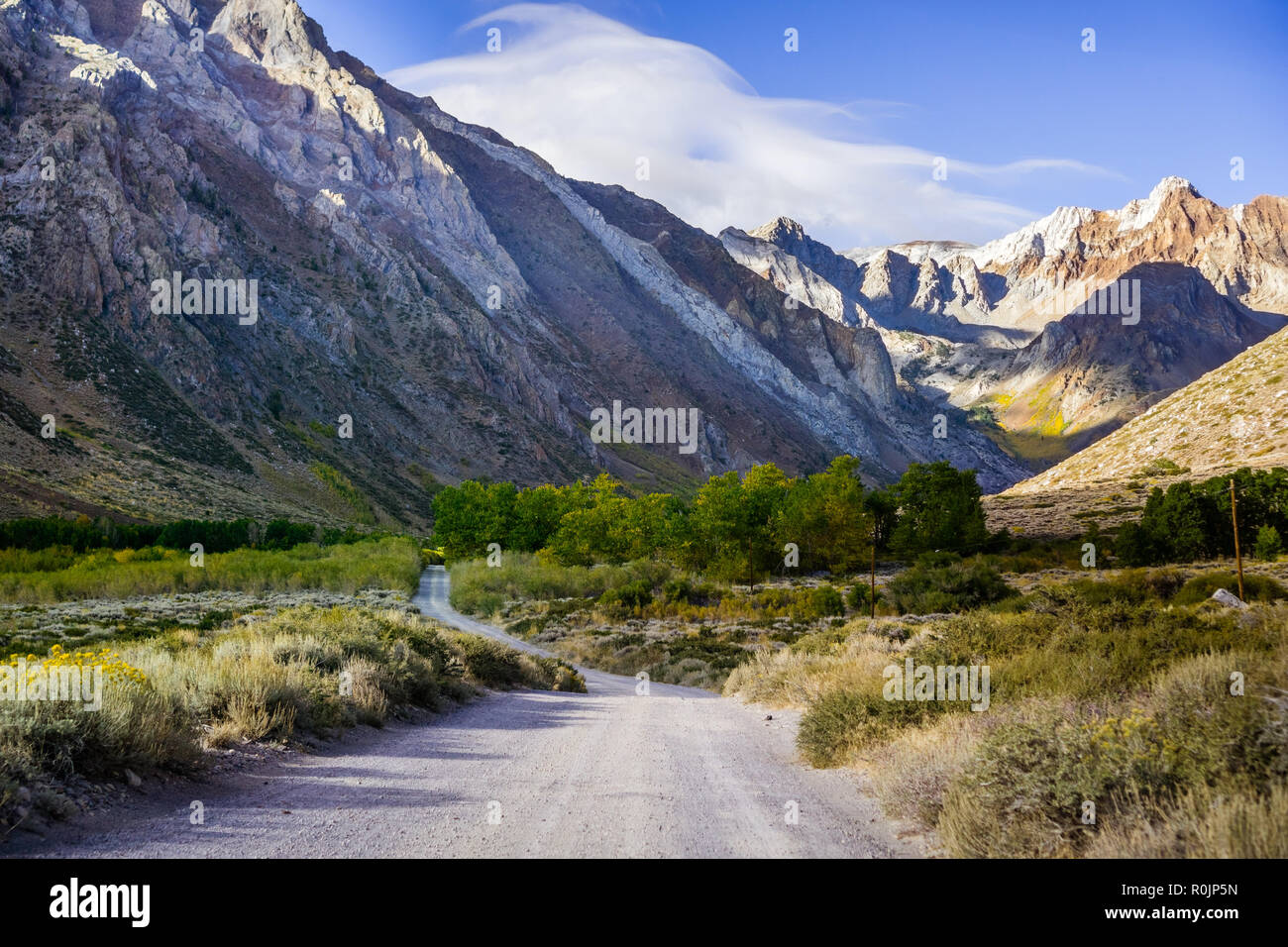 Matin sur les crêtes rocheuses et les sommets des montagnes de la Sierra de l'est pris de la route non asphaltée à McGee Creek trail head, en Californie Banque D'Images