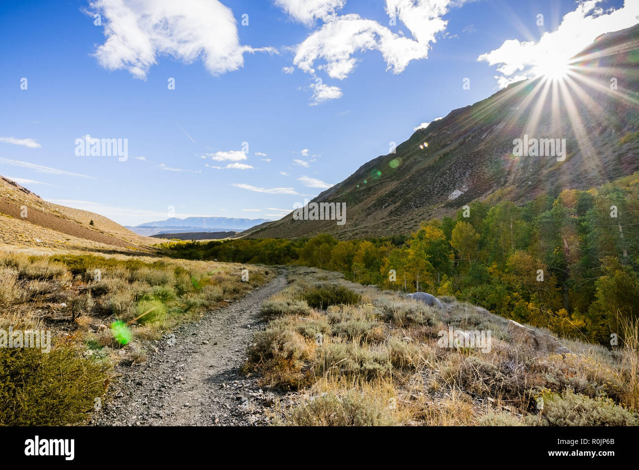 McGee Creek Trail sur une journée ensoleillée d'automne, John Muir wilderness, est de la Sierra montagnes, Californie Banque D'Images