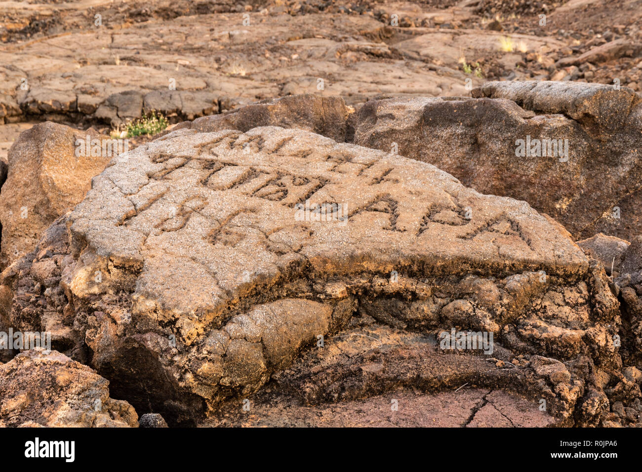 Petroglyphs in Waikoloa, sur le sentier du Roi (amalahoa «'), près de Kona sur la grande île d'Hawaï. Sculpté dans la roche volcanique. Banque D'Images