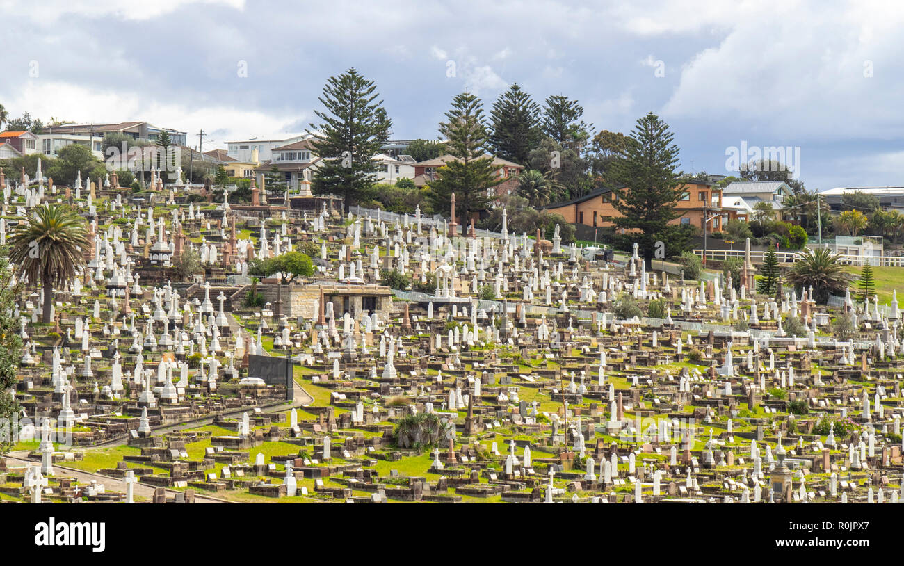 Pierres tombales de marbre et des tombes au cimetière de Waverley NSW Australie Sydney Bronte. Banque D'Images