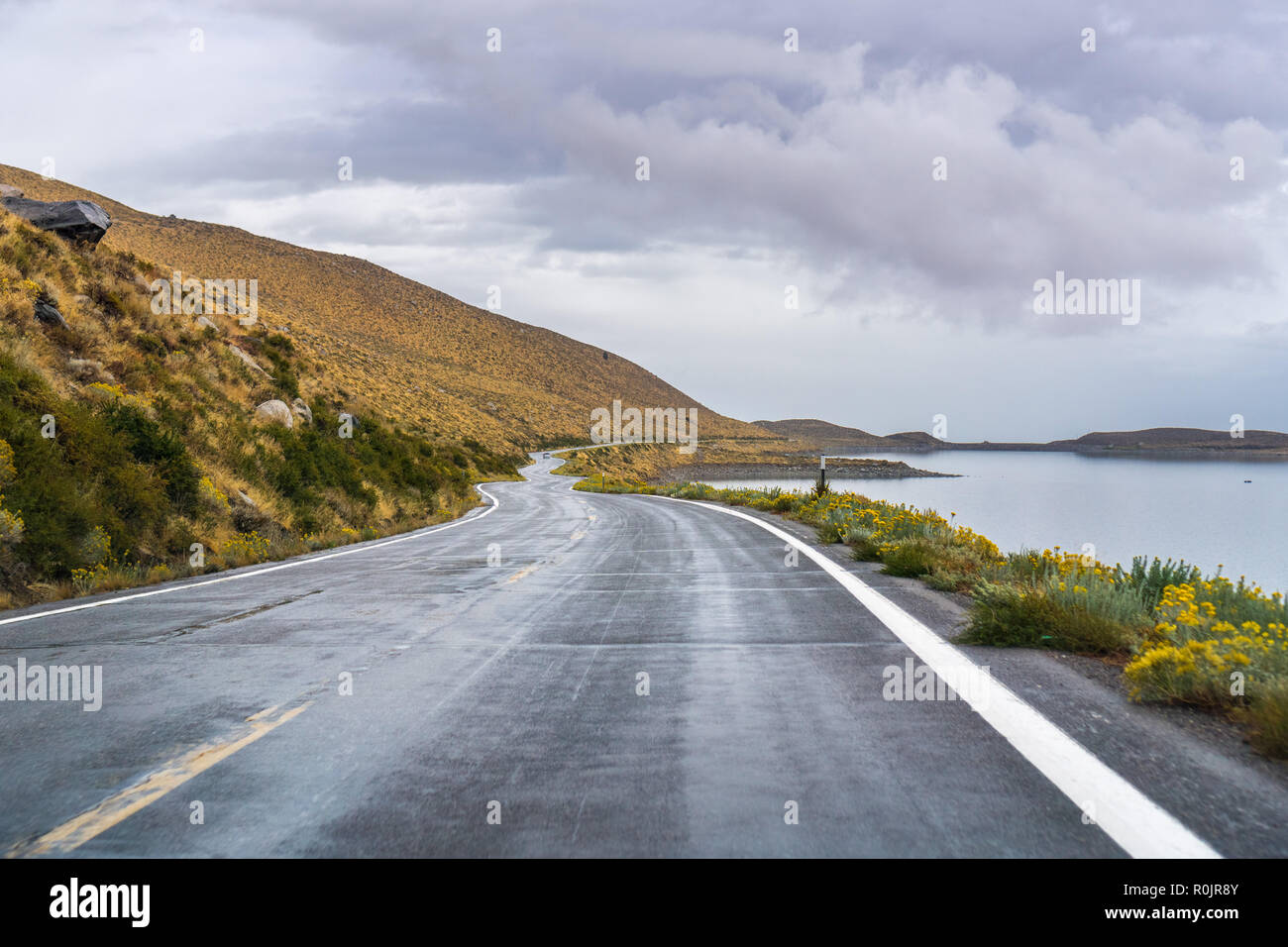La conduite autour du lac Grant sur un jour d'automne pluvieux ; floraison de fleurs sauvages sur le bord de la route ; Juin Lake, l'Est de la Sierra montagnes, Californie Banque D'Images