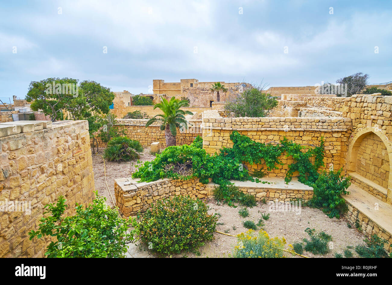 Les plantes vertes ampong les murs médiévaux de Rabat Citadelle, Victoria, l'île de Gozo, Malte. Banque D'Images