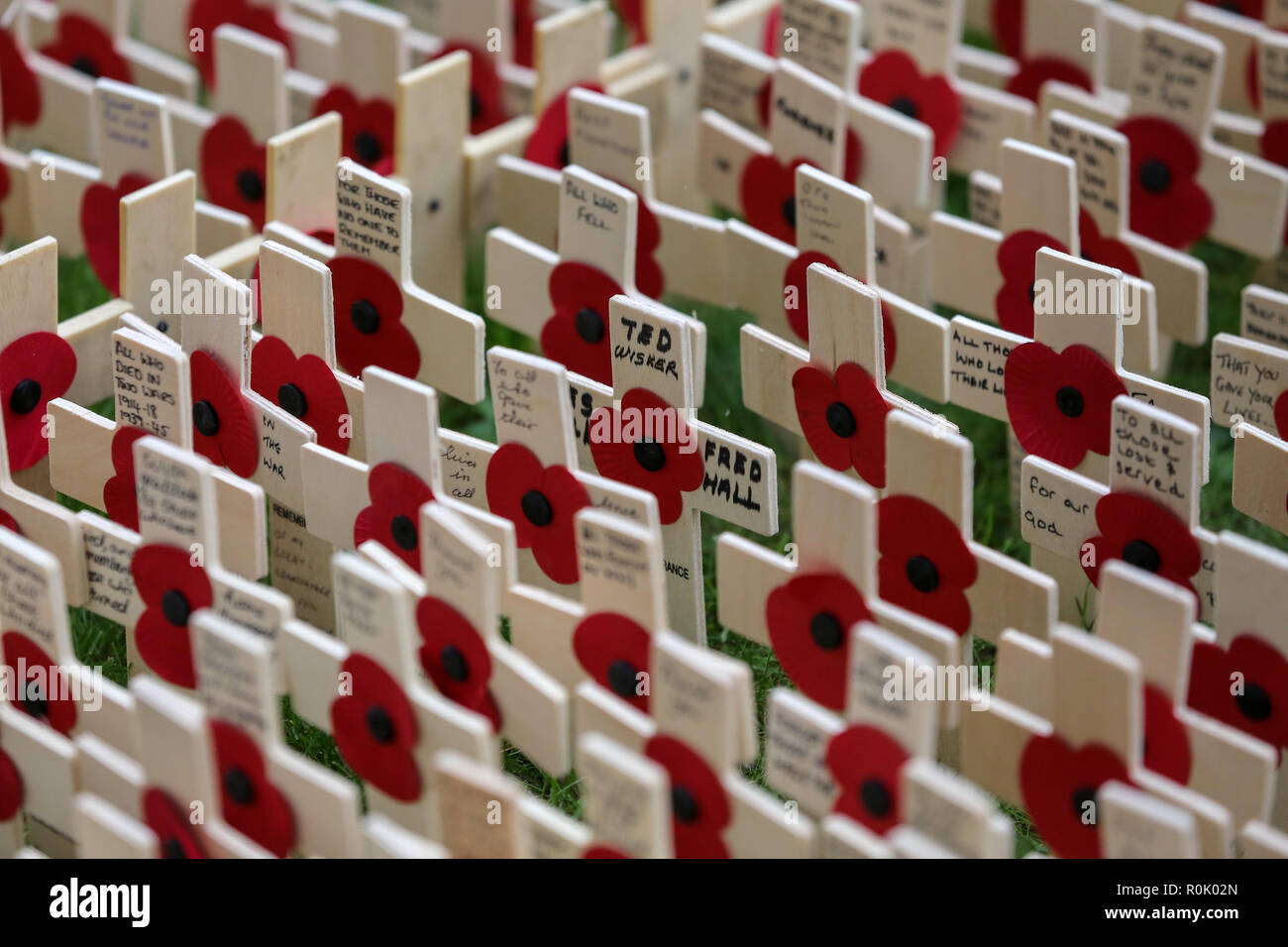 Des milliers de croisements sont accueillis à l'abbaye de Westminster planté dans le champ pendant les préparatifs. Des bénévoles de la région britannique préparer le terrain du souvenir à l'abbaye de Westminster à Londres, avec plus de 85 000 croisements pour commémorer les soldats britanniques et du Commonwealth tombés des conflits passés. Duc de Sussex sera ouvert officiellement le champ du souvenir plus tard cette semaine. Banque D'Images