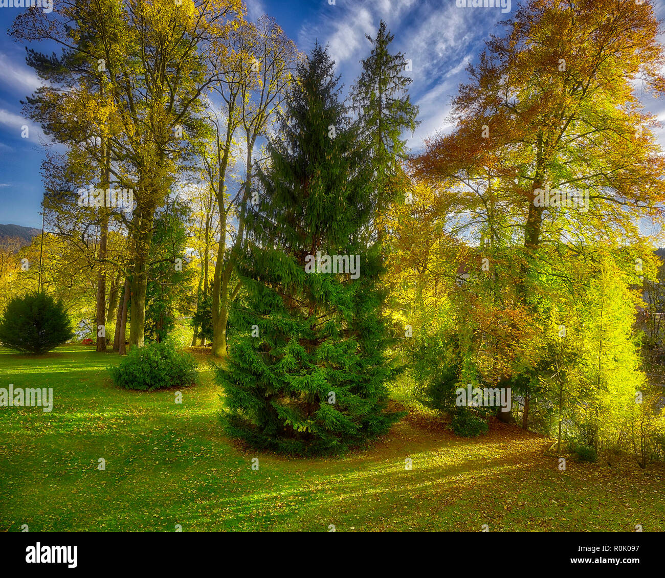 DE - BAVARIA : forêts d'automne le long de la rivière Isar, à Bad Toelz (image HDR) Banque D'Images