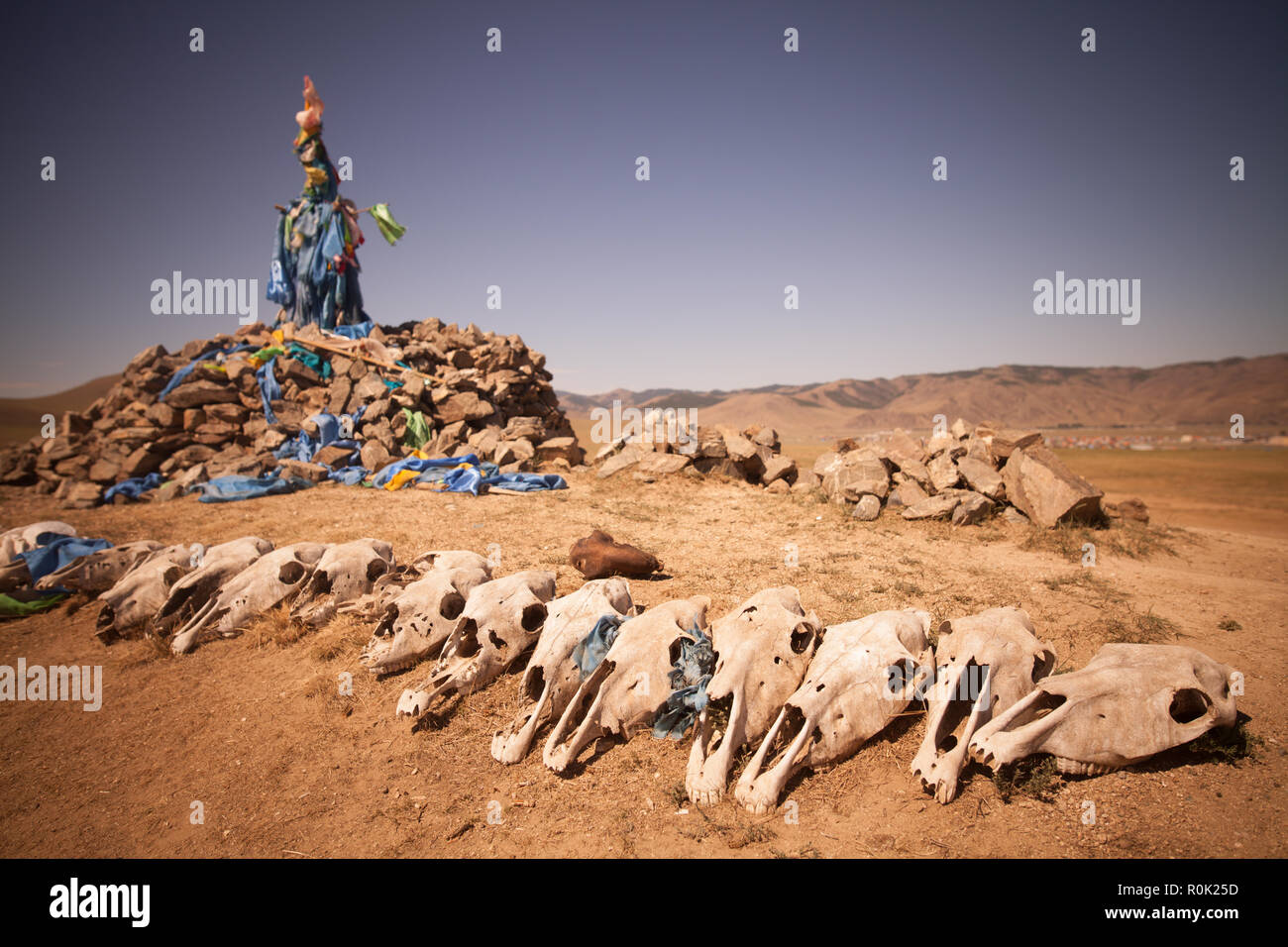 En bordure d'un ovoo, culte chamanique, en Mongolie, avec quelques crânes de vache affiché dans une rangée. Banque D'Images