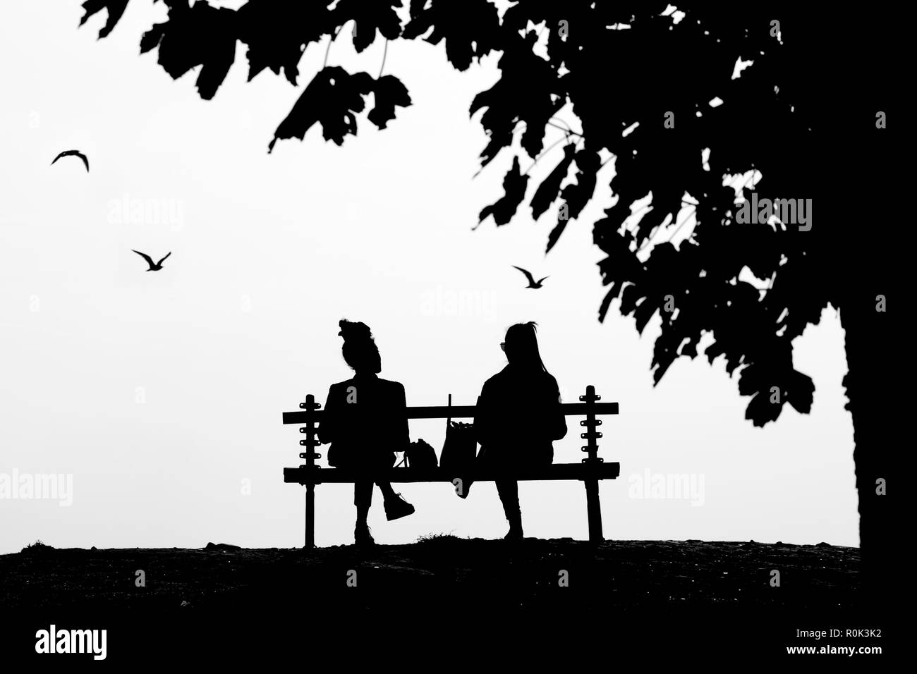 Deux jeunes femmes amis parler alors qu'il était assis sur un banc de parc isolé sous l'arbre en noir et blanc très cobtrast Banque D'Images