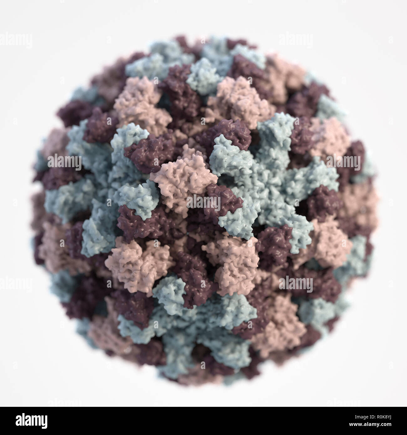 Une représentation graphique 3D d'un seul les norovirus. Banque D'Images