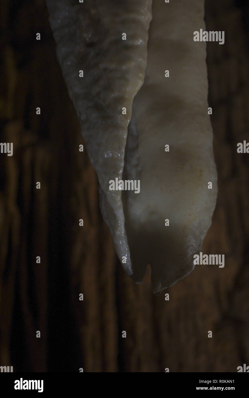 Dans une grotte de stalactites blanches Banque D'Images