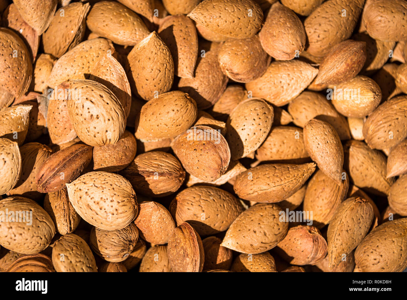 Amandes fraîches en un mot cultivée en Sicile Banque D'Images