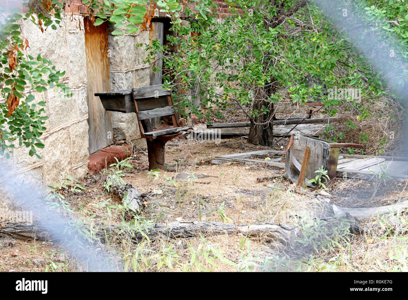 Cour de l'école couleur école abandonnée et envahie par l'école en train de s'effondrer 24 Banque D'Images