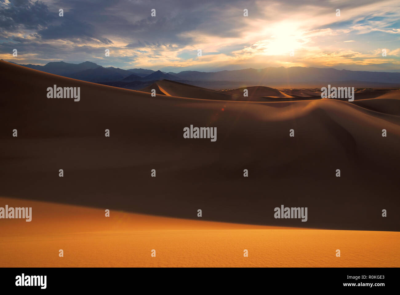 Sand dunes in desert at sunrise Banque D'Images