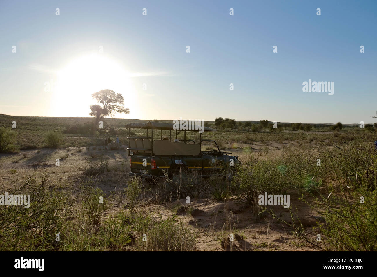 Safari véhicule sur un safari dans le Parc National Kgalagadi Banque D'Images