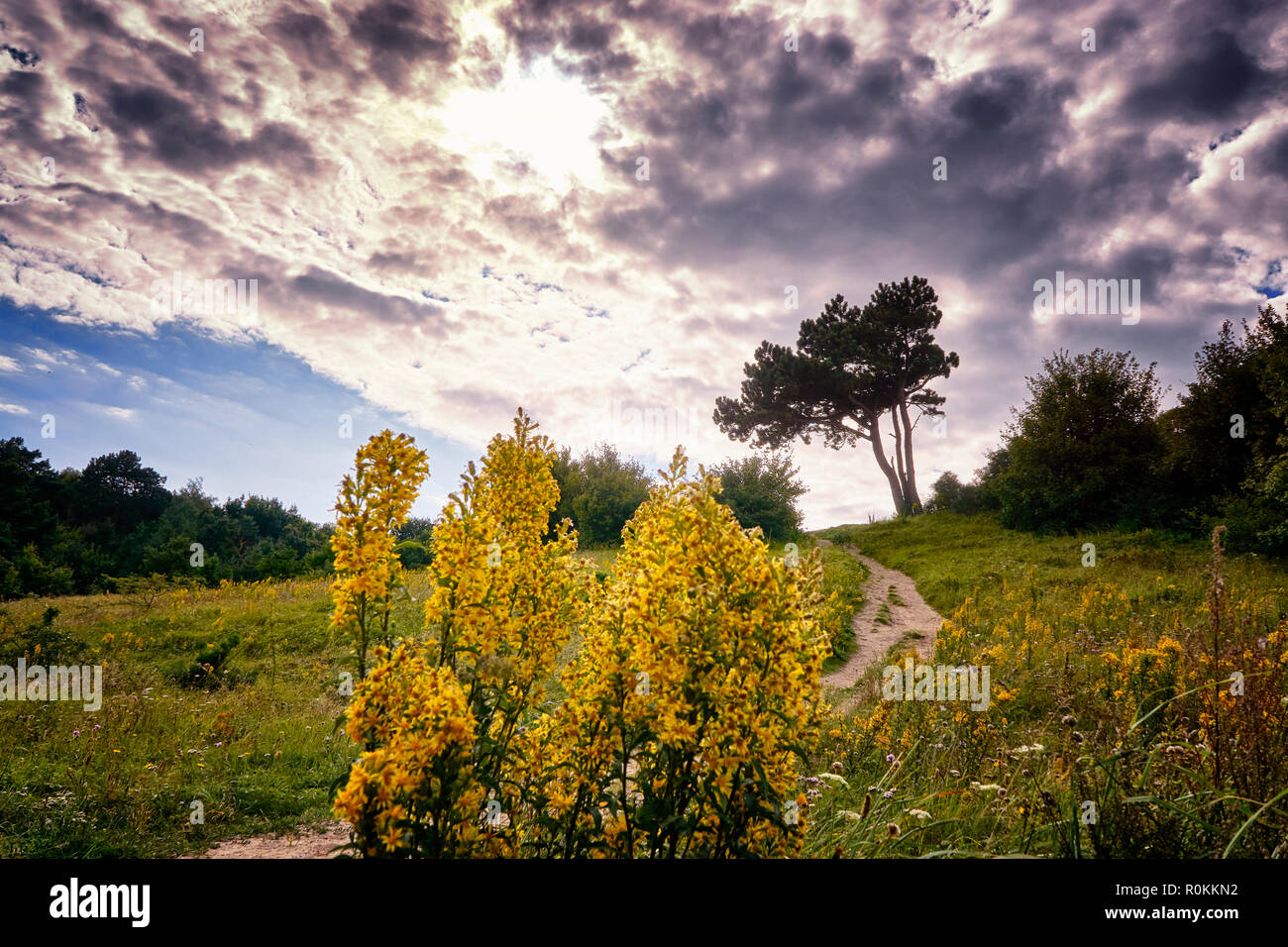 Panorama à partir de l'arbre au phare sur l'île de Hiddensee, avec des nuages. Allemagne Banque D'Images