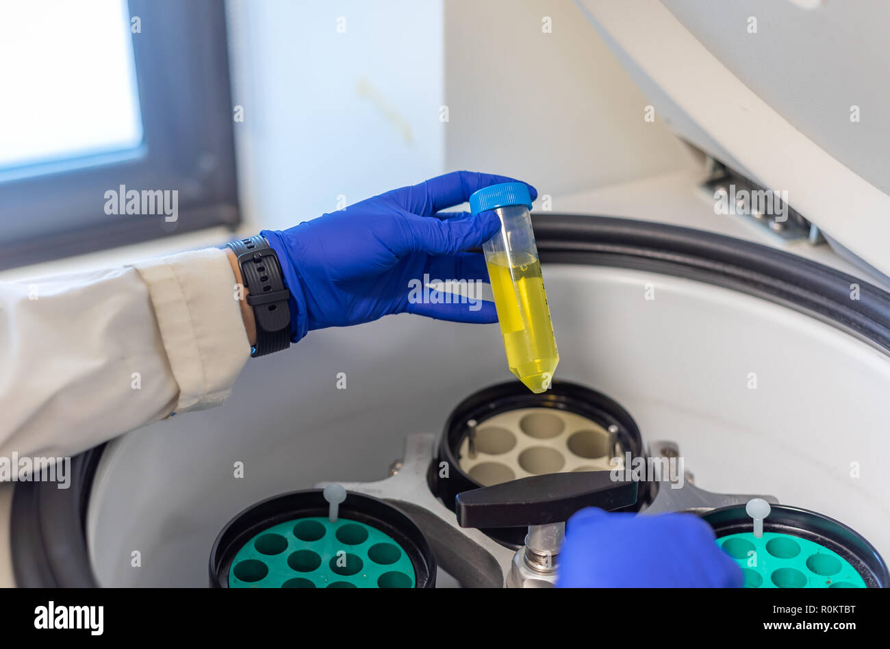 La centrifugation des échantillons biologiques en laboratoire de biologie Banque D'Images