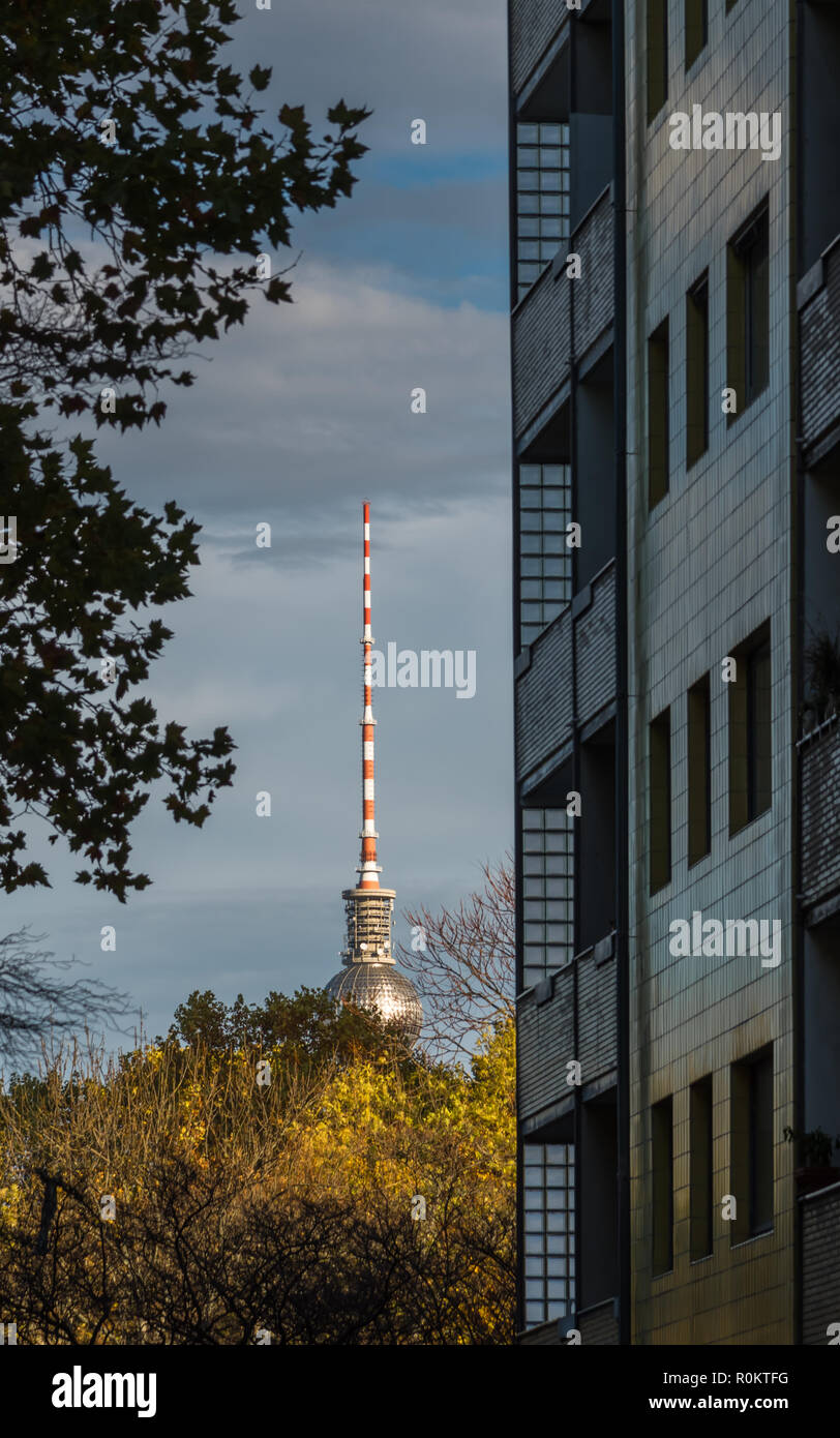 La tour de télévision de Berlin qui se cache derrière des arbres Banque D'Images