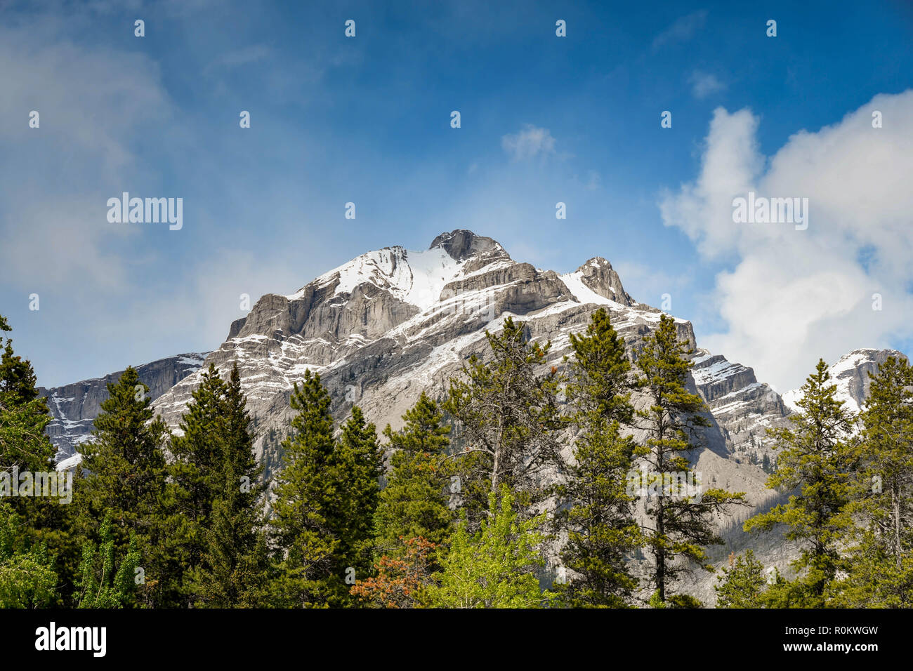 Vue panoramique des montagnes couvertes de neige contre un ciel bleu, avec des arbres en premier plan. Banque D'Images