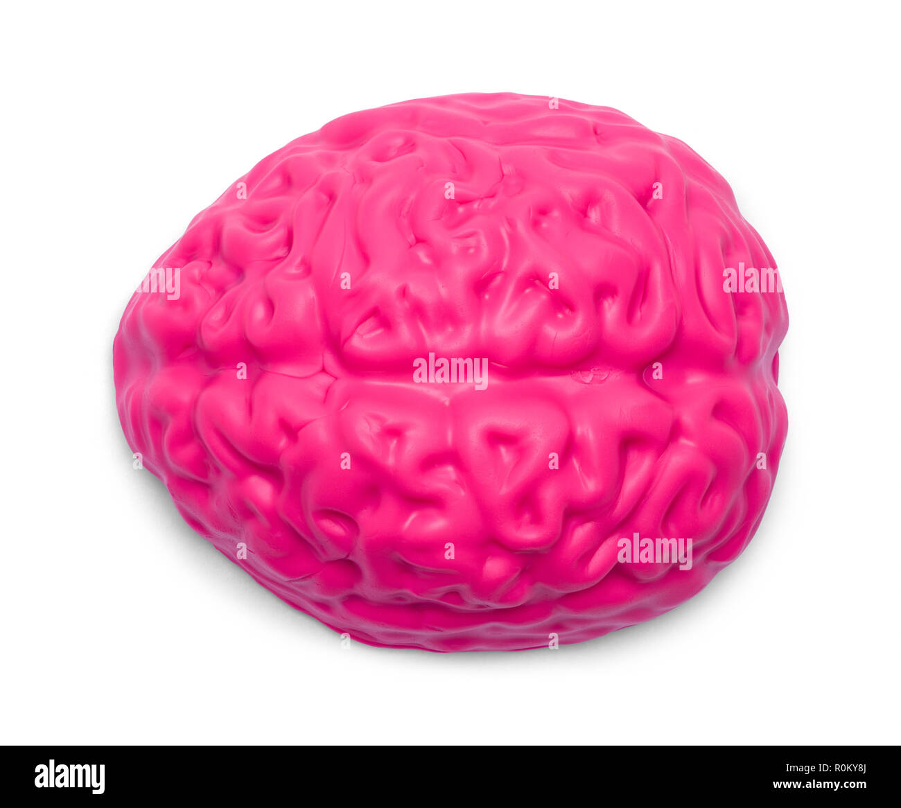 Vue de dessus du cerveau humain Rose isolé sur un fond blanc. Banque D'Images