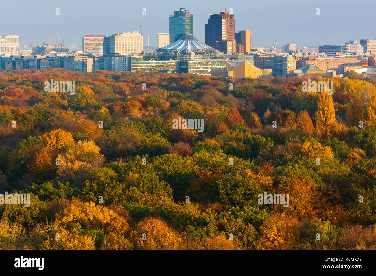 Berlin, Allemagne. 6 novembre, 2018. La fin de l'automne de couleurs spectaculaires dans les arbres du célèbre parc de Tiergarten, dans le centre de la ville. L'horizon de moderne Potsdamer Platz est à la distance. Credit : Iain Masterton/Alamy Live News Banque D'Images
