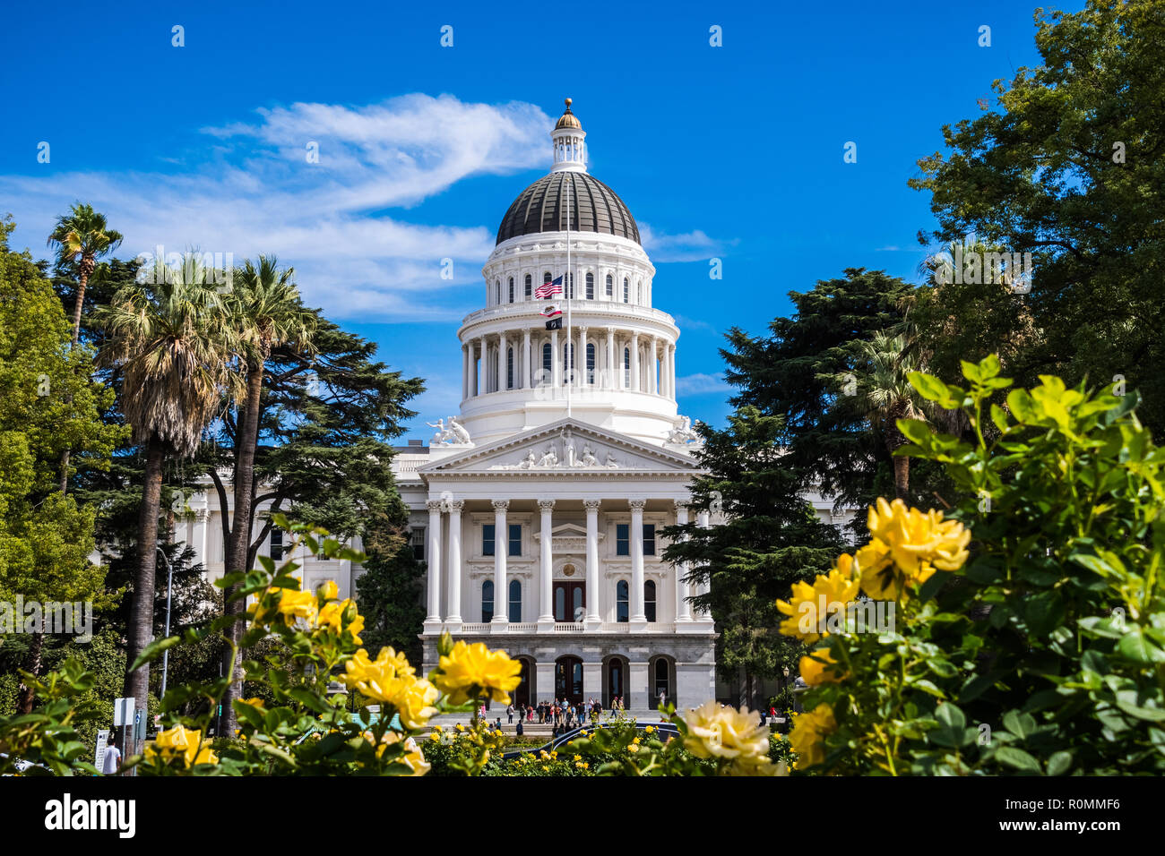 California State Capitol building, Sacramento, Californie ; journée ensoleillée ; de belles roses jaunes à l'avant-plan Banque D'Images