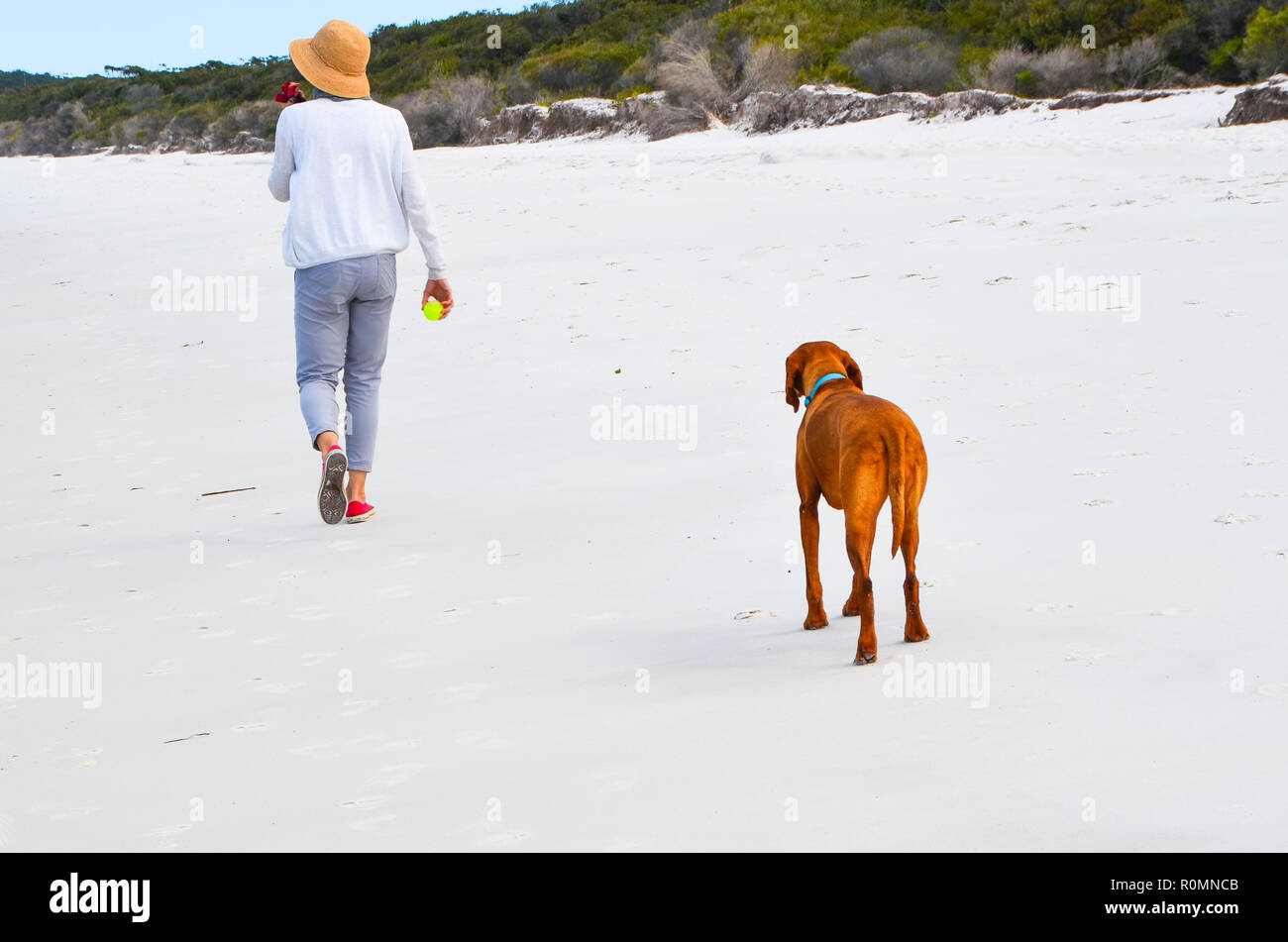 Woman wearing sun hat promenades le long beach avec chien qui est d'attendre avec impatience sa balle à jeter pour un jeu de fetch. Dame balade chien sur la plage. Banque D'Images