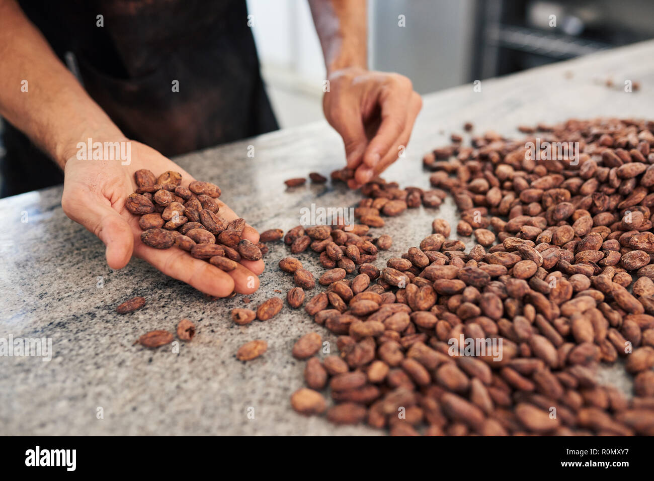 Tri manuel travailleur fèves de cacao dans une chocolaterie artisanale Banque D'Images