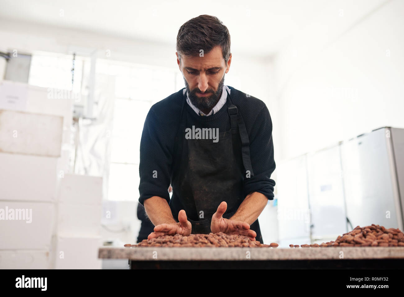 La sélection de la main du travailleur cocao qualité pour la production de chocolat haricots Banque D'Images