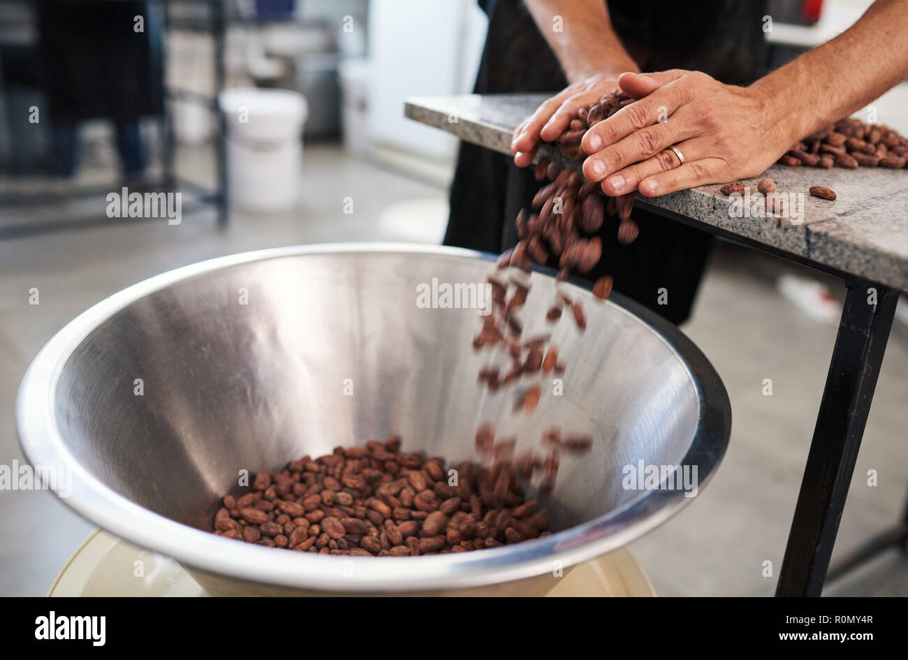 En poussant les travailleurs les fèves de cacao dans un bol pour la production de chocolat Banque D'Images