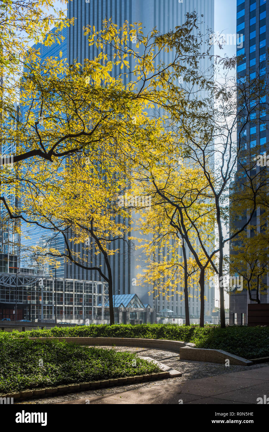 Bâtiments dans le centre-ville de Chicago Banque D'Images