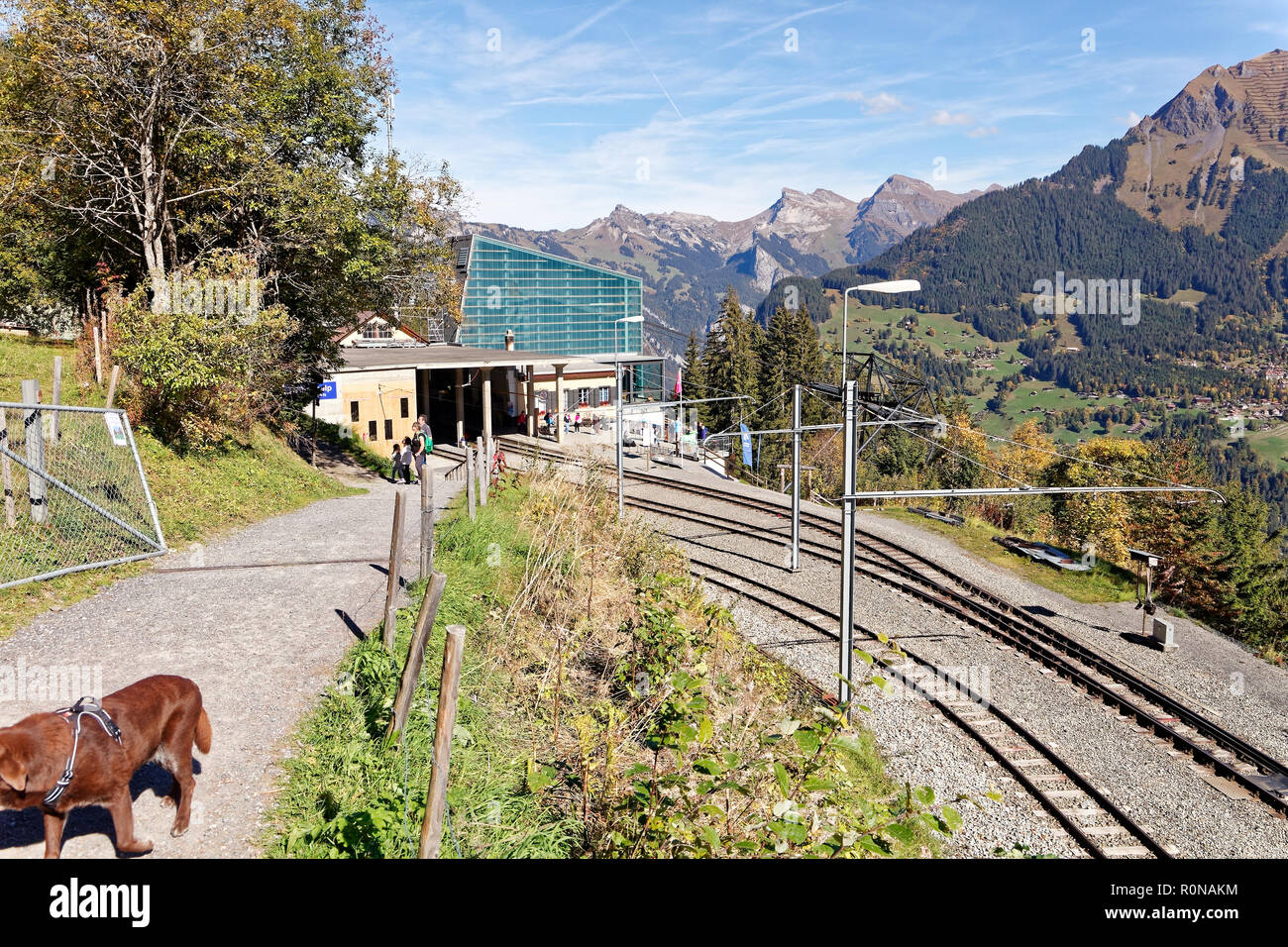 La famille de Muerren (Mürren) à Gruetschalp (Grütschalp), Région de la Jungfrau, en Suisse Banque D'Images