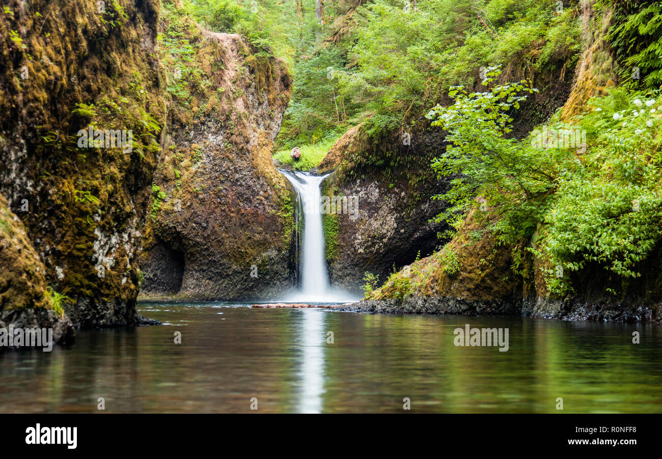 Bol à Punch tombe le long du sentier d'Eagle Creek dans l'Oregon, aux Etats-Unis avec un écrin de verdure Banque D'Images