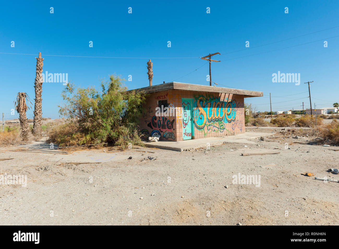 Paysages en Transition, Salton Sea Beach, Californie Banque D'Images