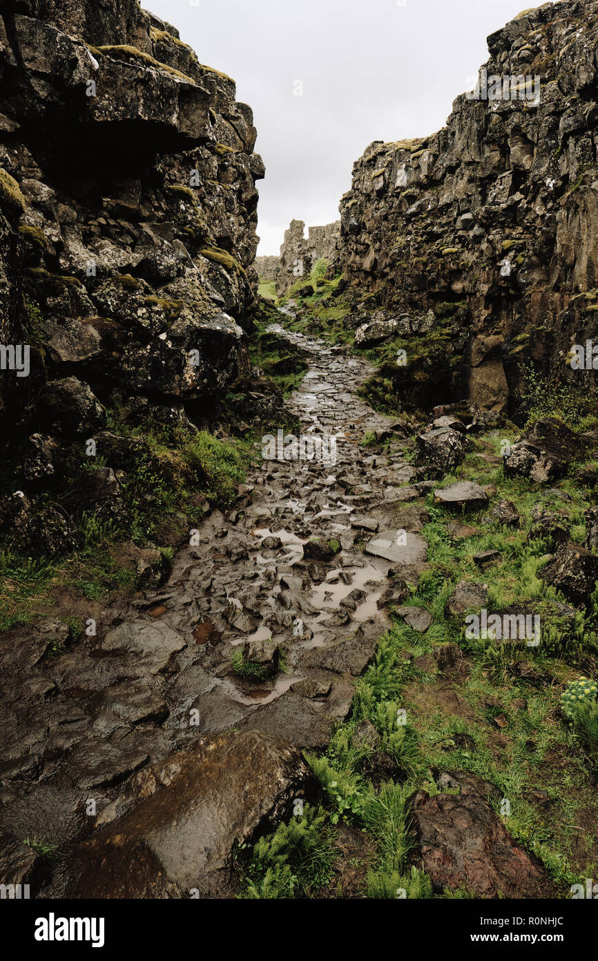 Plaque tectonique nord américaine Banque de photographies et d’images à