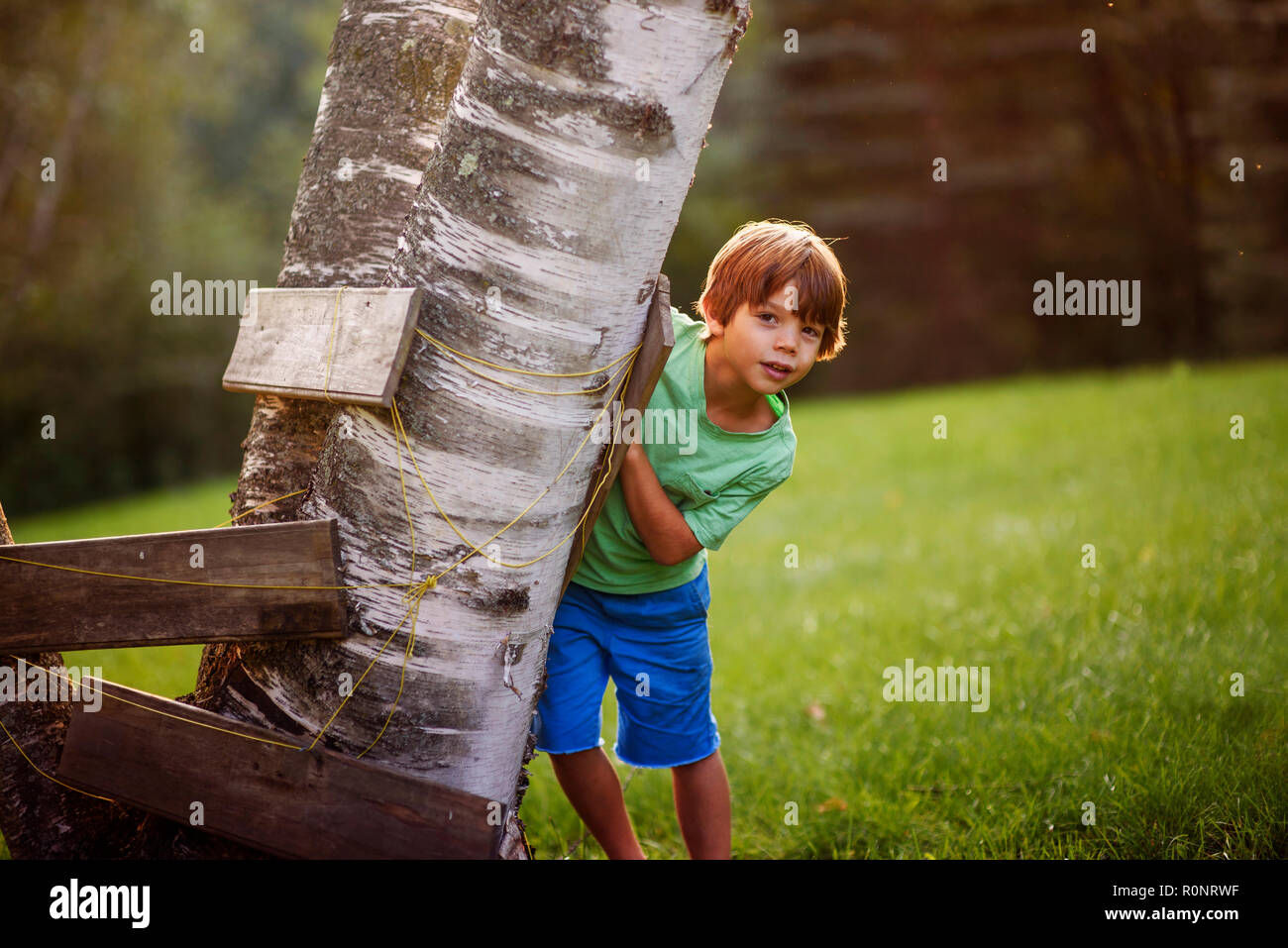 Garçon de se cacher derrière un arbre fort, United States Banque D'Images