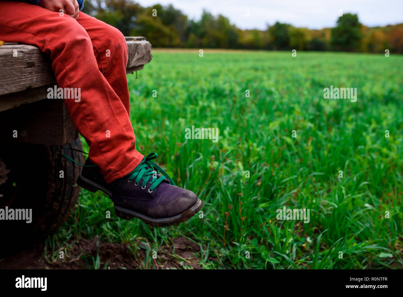 Close-up of a jambes du garçon assis sur un chariot Banque D'Images