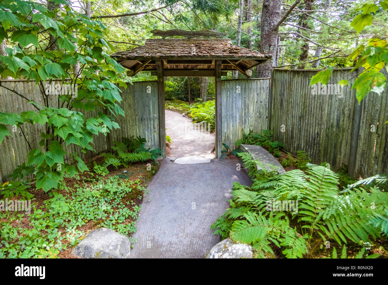 Jardin d'azalées Asticou, dans le nord-est de port sur Mount Desert Island, dans le Maine, United States Banque D'Images