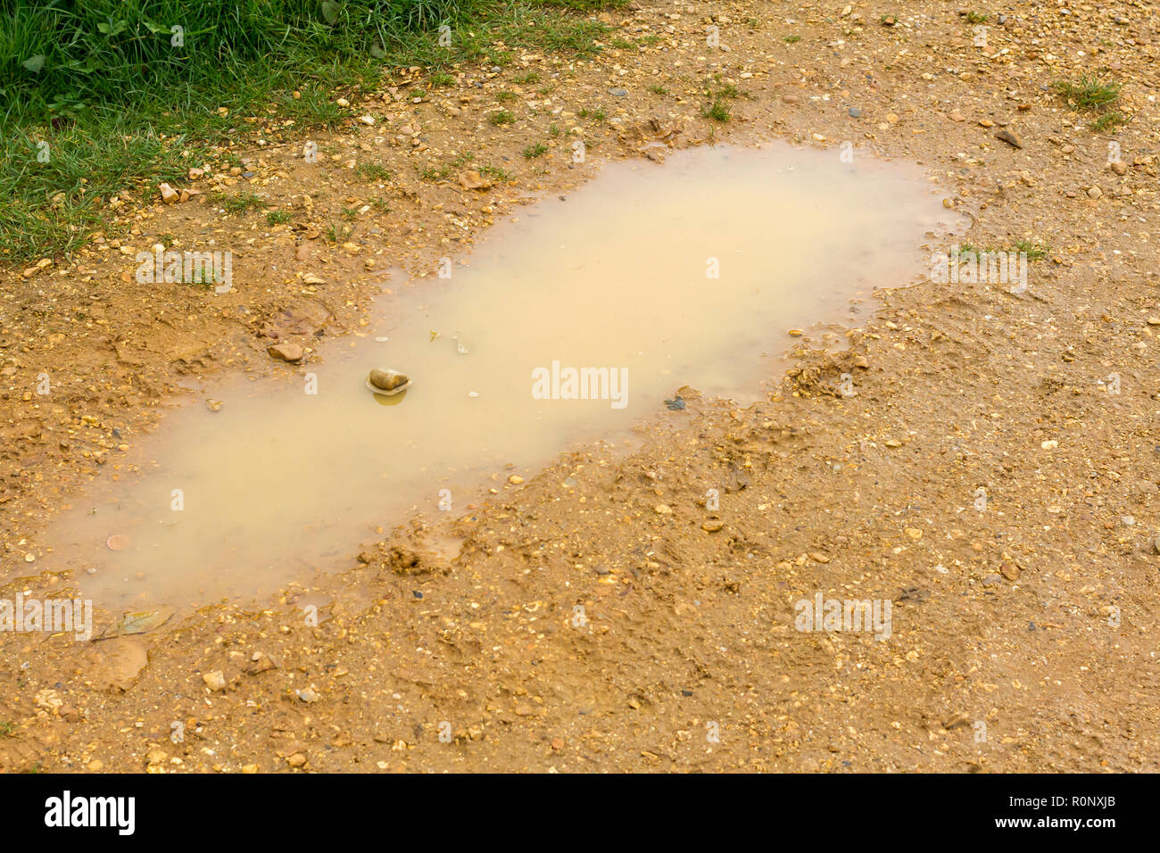 Flaque d'eau sur un sentier de gravier, UK Banque D'Images