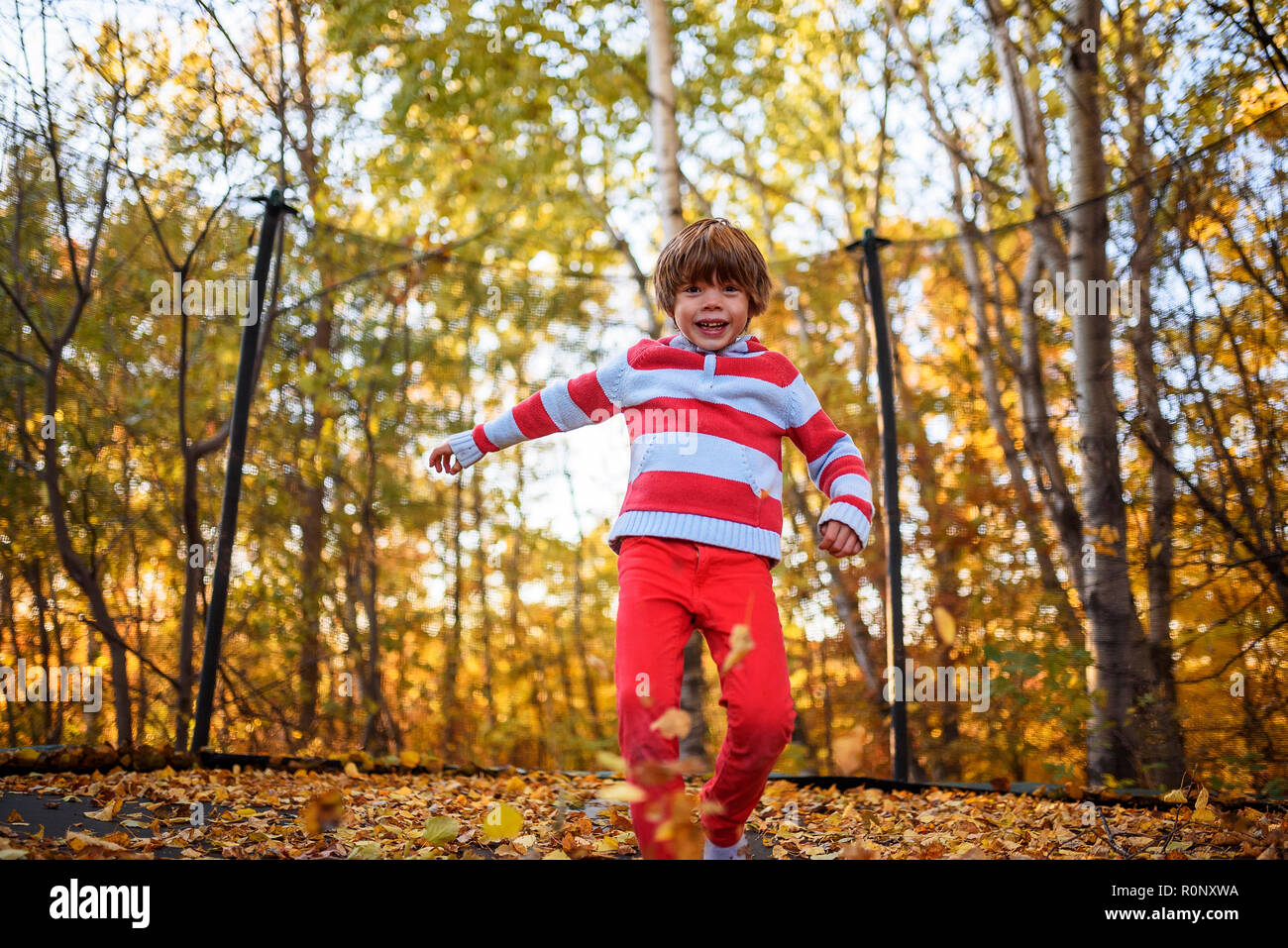 Garçon debout sur un trampoline recouvert de feuilles d'automne, United States Banque D'Images