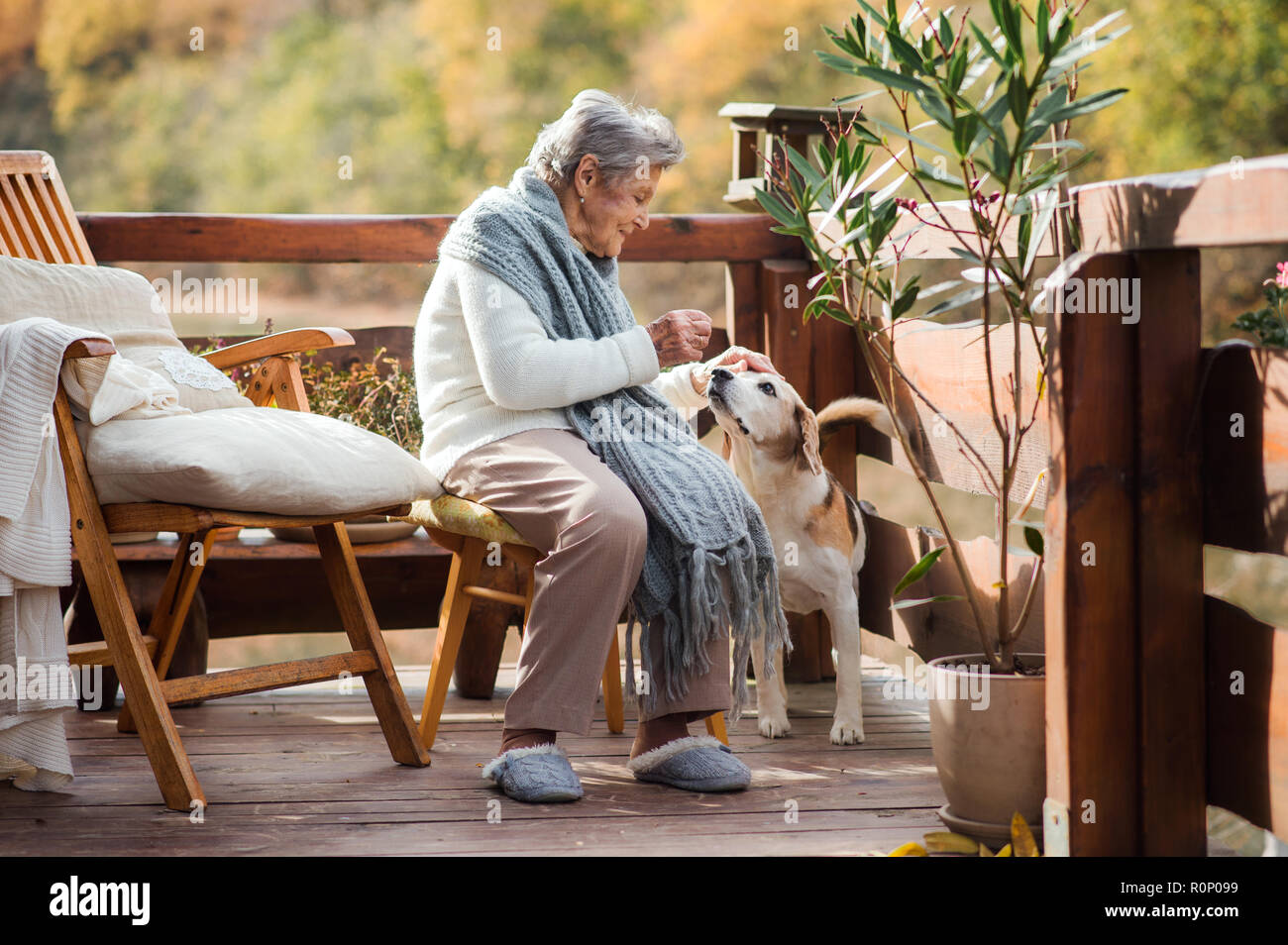 Une vieille femme avec un chien assis en plein air sur une terrasse sur une journée ensoleillée à l'automne. Banque D'Images