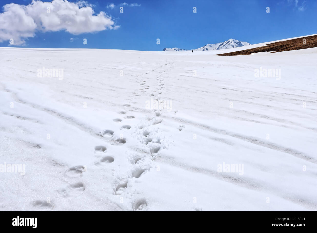 La disparition des empreintes en neige sous ciel bleu avec tourisme horizon. Dans les hautes terres d'hiver Lagonaki montagnes du Caucase. Paysage Pittoresque. Banque D'Images
