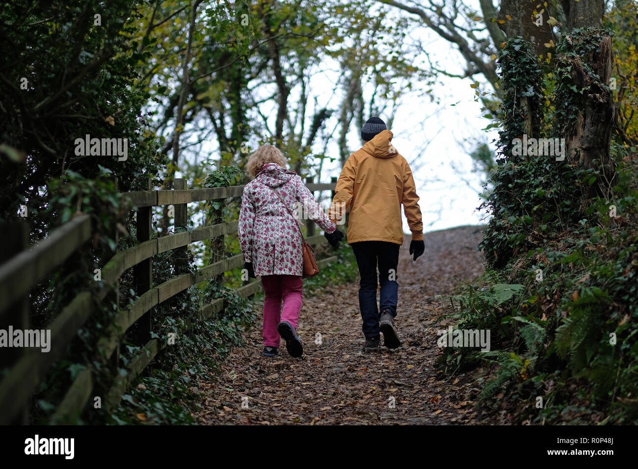 Deux personnes marchant dans la campagne, à Cornwall. Banque D'Images